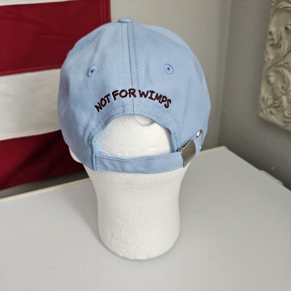 Fruit Riot Ballcap New Blue - Picture 3 of 4